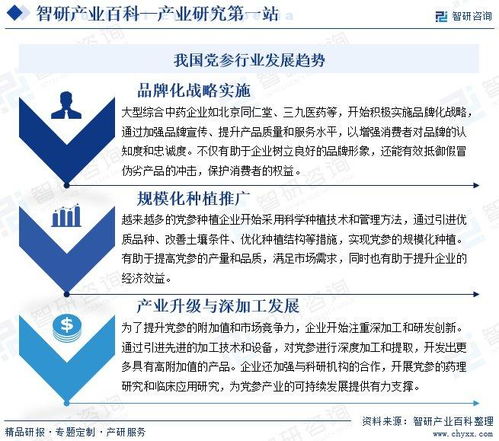 黨參行業(yè)分析報(bào)告 市場(chǎng)規(guī)模、供需態(tài)勢(shì)、競(jìng)爭(zhēng)格局及投融資動(dòng)態(tài)解析